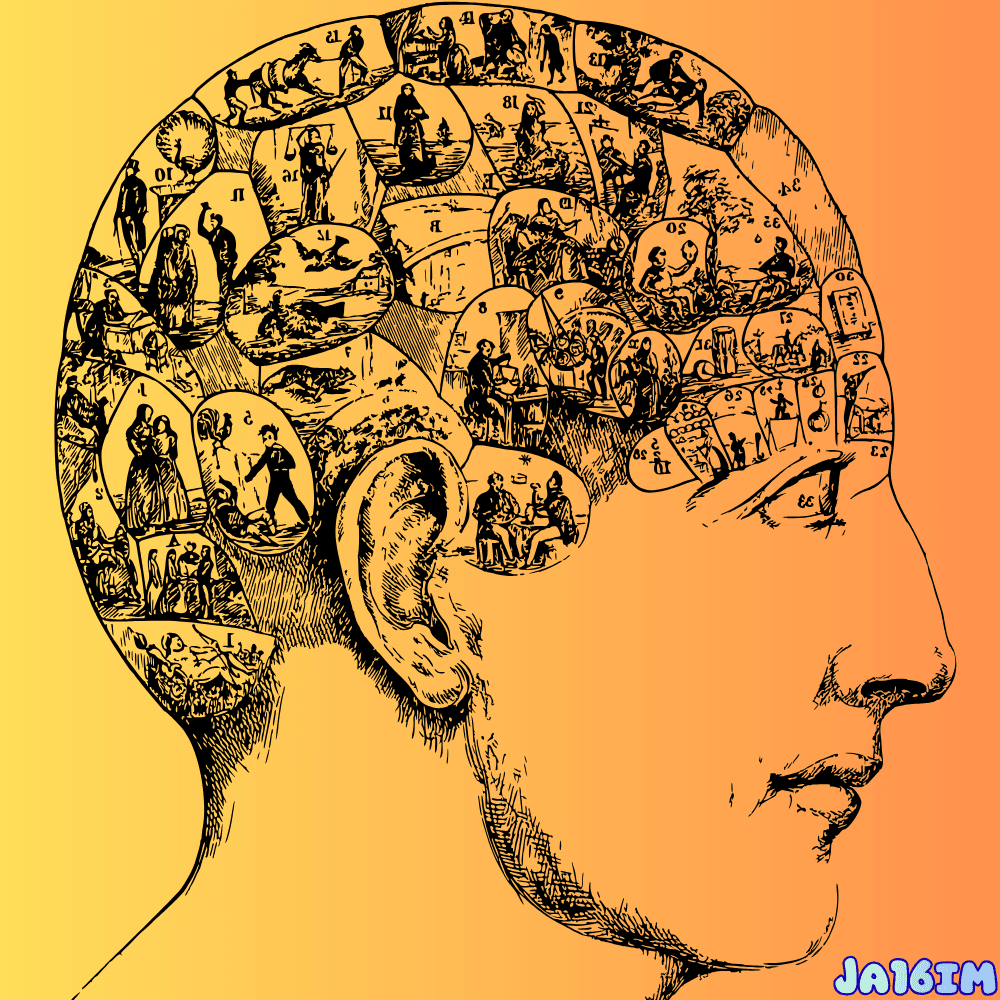 human consciousness evolution
